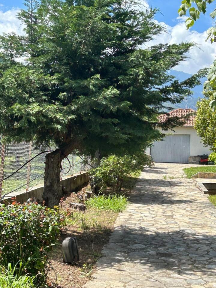 Zeusplace Karia Villa Natura Leptokaria Exteriér fotografie